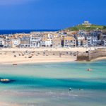 5 Pet Adoption Tips To Make You & Your Dog Comfortable