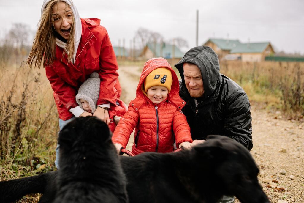 A family with their dogs