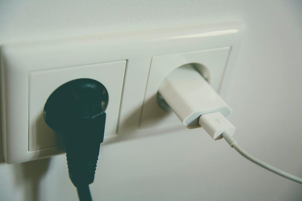 Black and white electric plugs