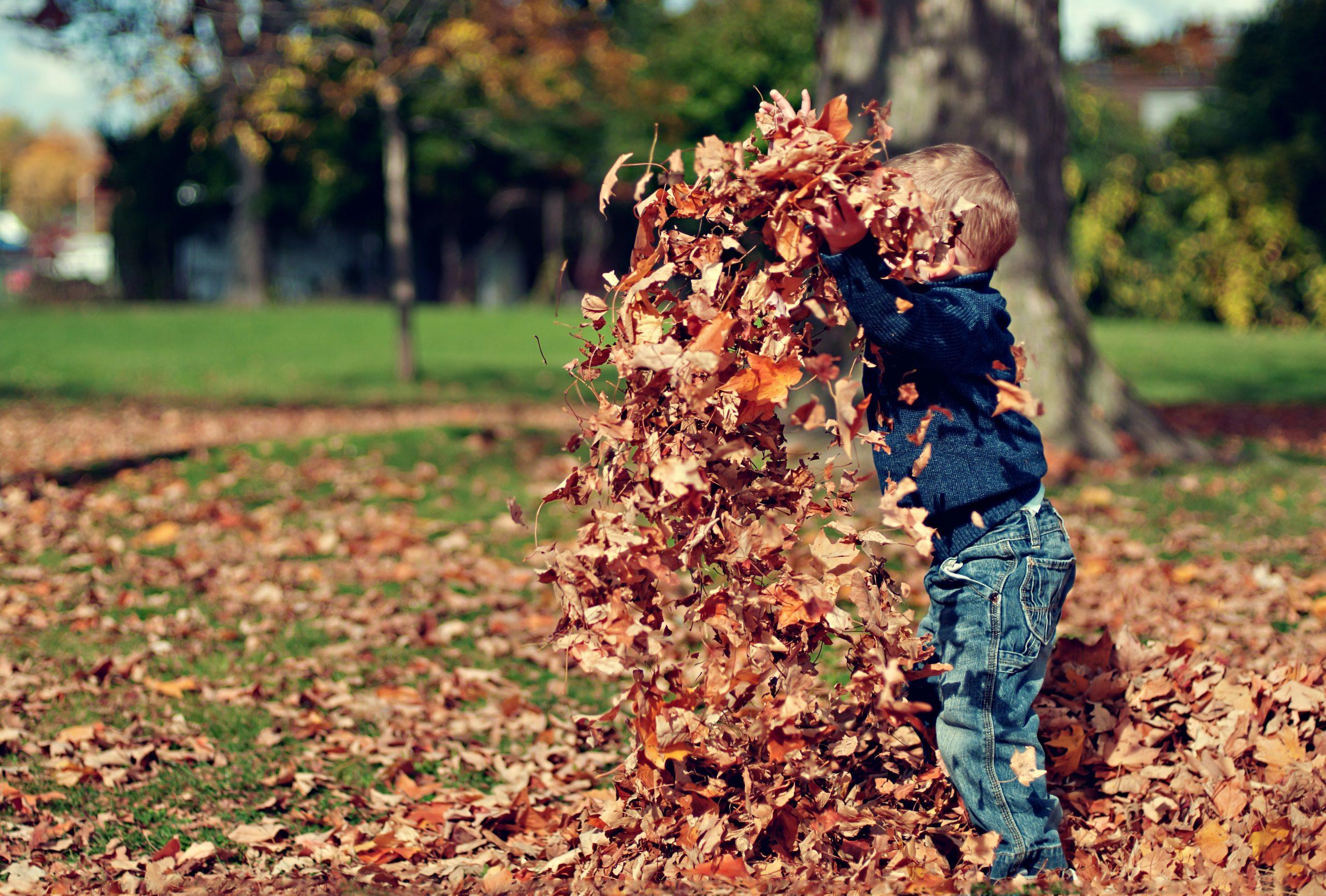 A boy playing with leaves