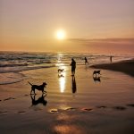 The Ultimate Guide to Revamping Your Kitchen on a Budget