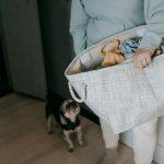 Make Yourself A Must-Have Hire: Guarantee Your Career Success