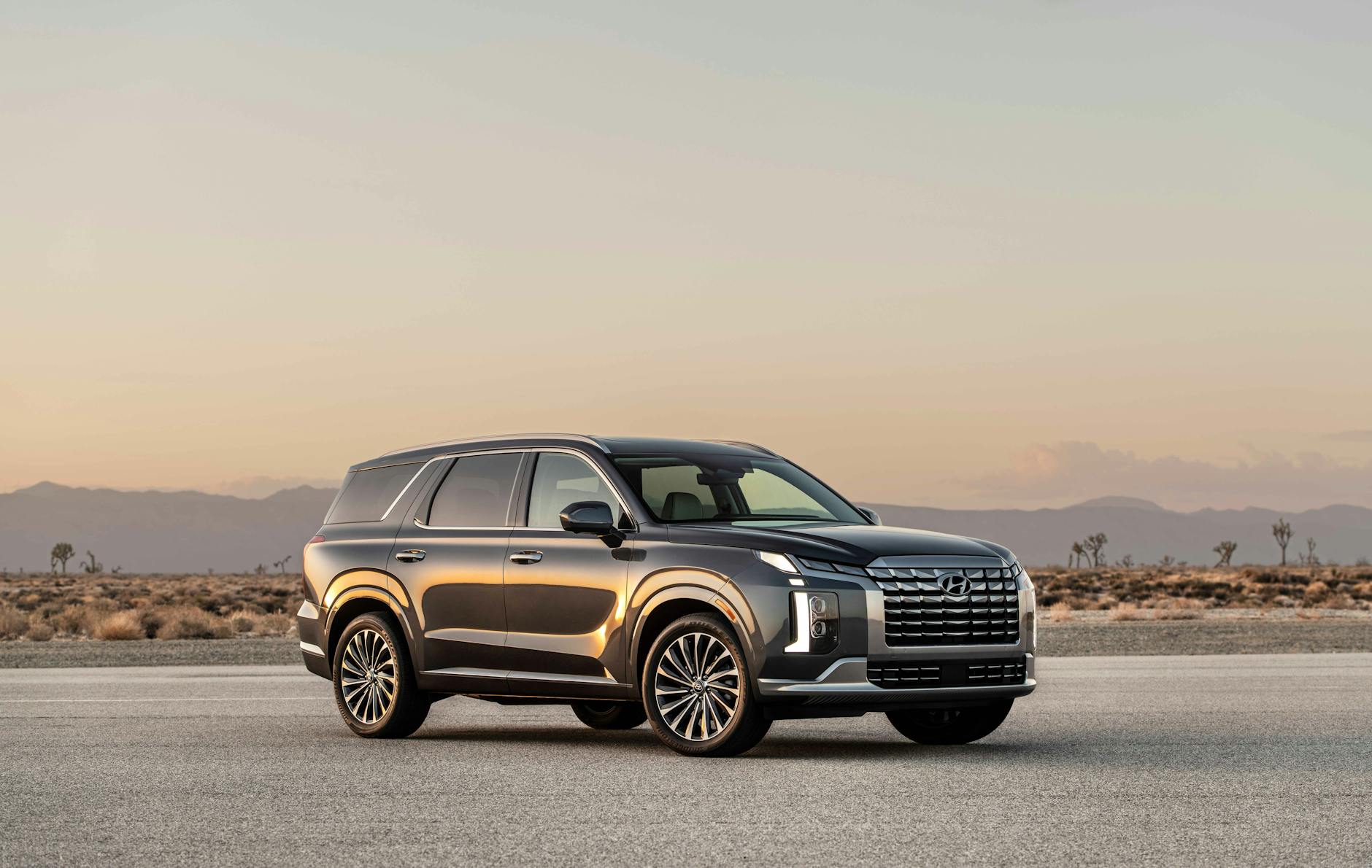 parked hyundai palisade