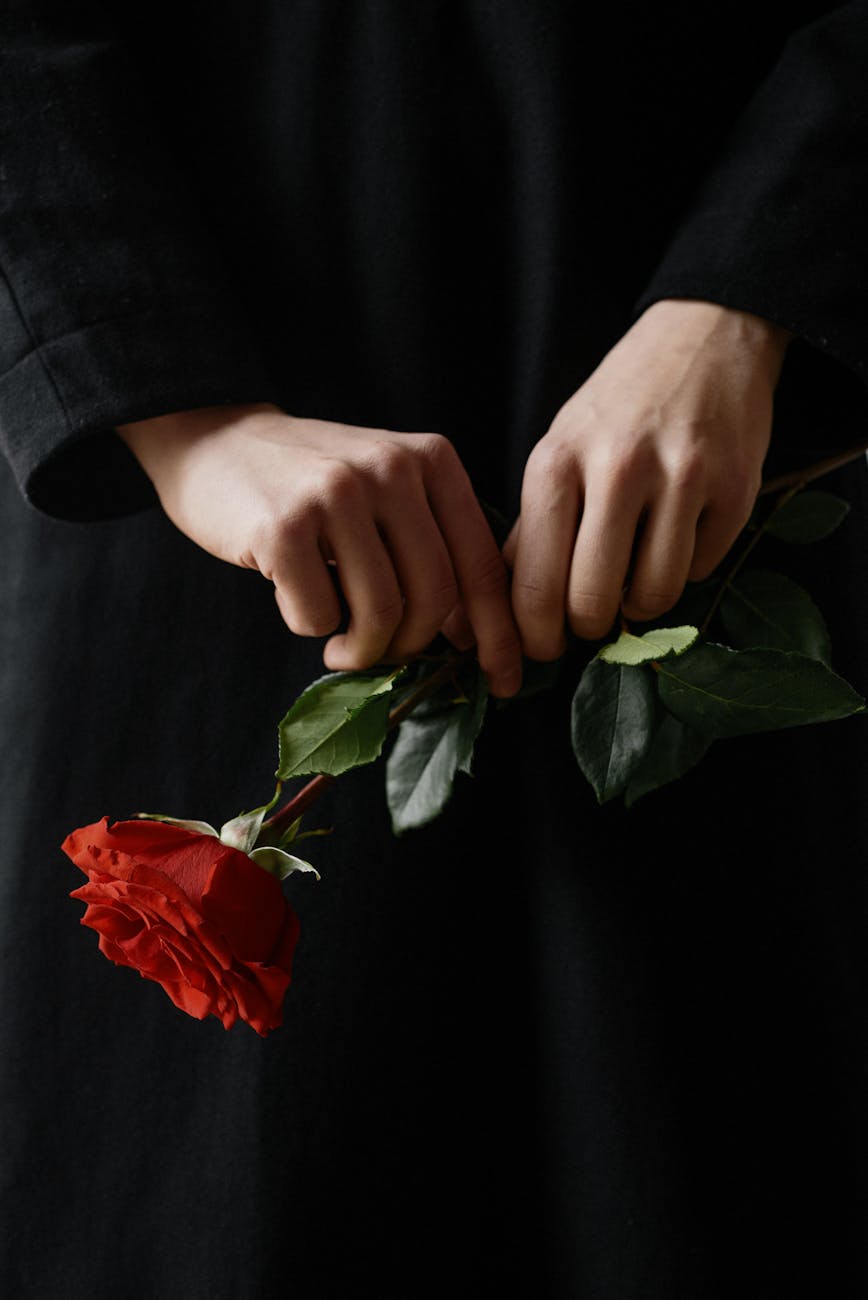 close up shot of a person holding a red rose
